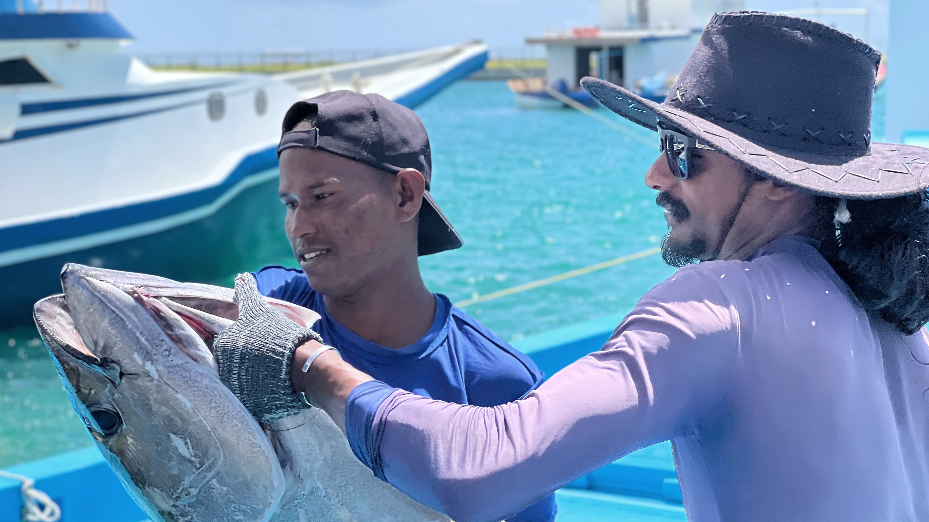 Yellowfin Tuna Fresh